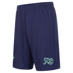 Puma Switzerland PUMA Men Training Shorts 757525-07