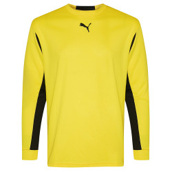 Puma PUMA V5.06 GK Men Goalkeeper Jersey 700259-03