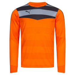 Puma PUMA Stadium GK Men Goalkeeper Jersey 702089-36