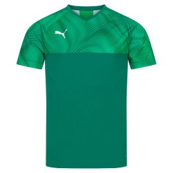 Puma PUMA Cup Men Jersey 703773-05