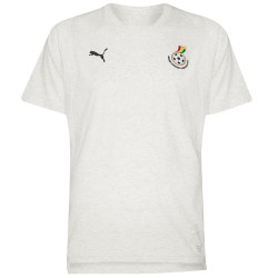 Puma Ghana PUMA Men Training T-shirt 752451-06